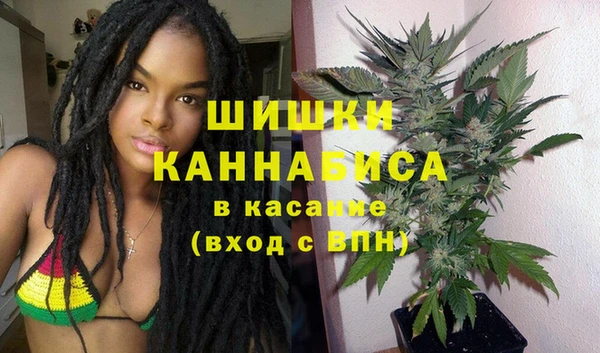 стаф Нефтегорск