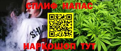 МДПВ Ливны