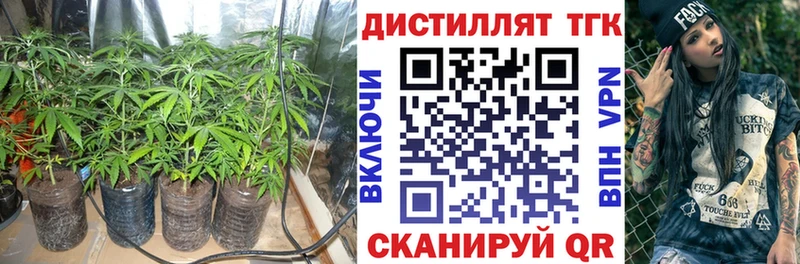 купить  цена  Каспийск  Дистиллят ТГК гашишное масло 