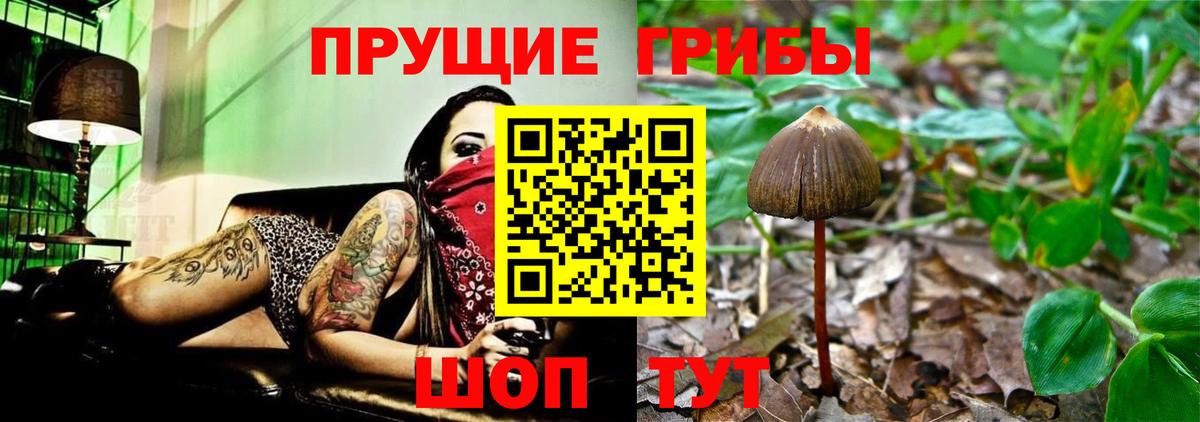 Каспийск  Галлюциногенные грибы Psilocybine cubensis  Псилоцибиновые грибы мухоморы  Вход с VPN 
