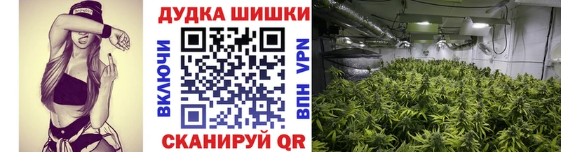 Канабис OG Kush  купить наркотик  даркнет наркотические препараты  Каспийск 
